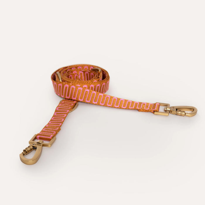 DOGGUO Guinzaglio per cani - onda retrò - ruggine/rosa