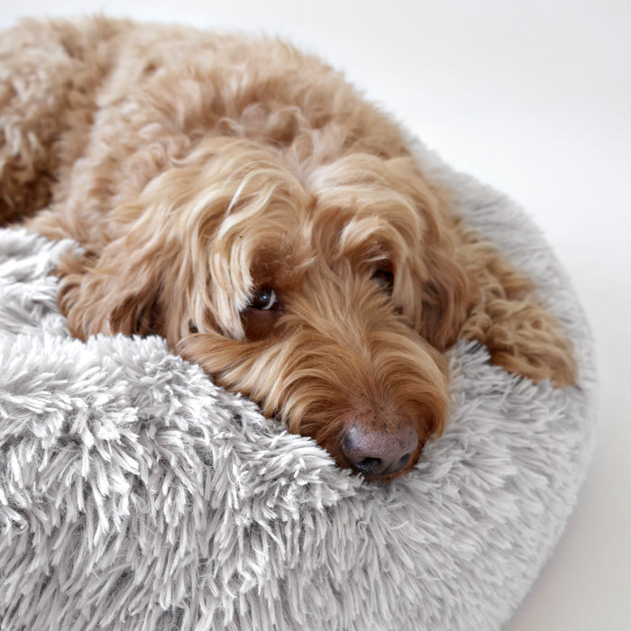 airLOFT donut dog bed gray