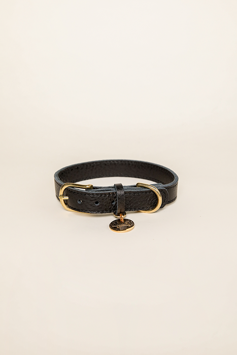 Collar - Royal Black