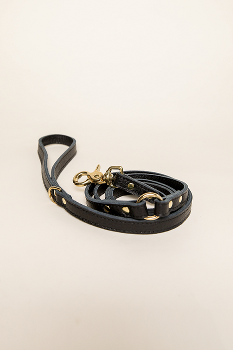 Dog leash - Royal Black