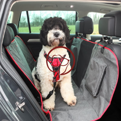 KONG Car Blanket Protective Cover