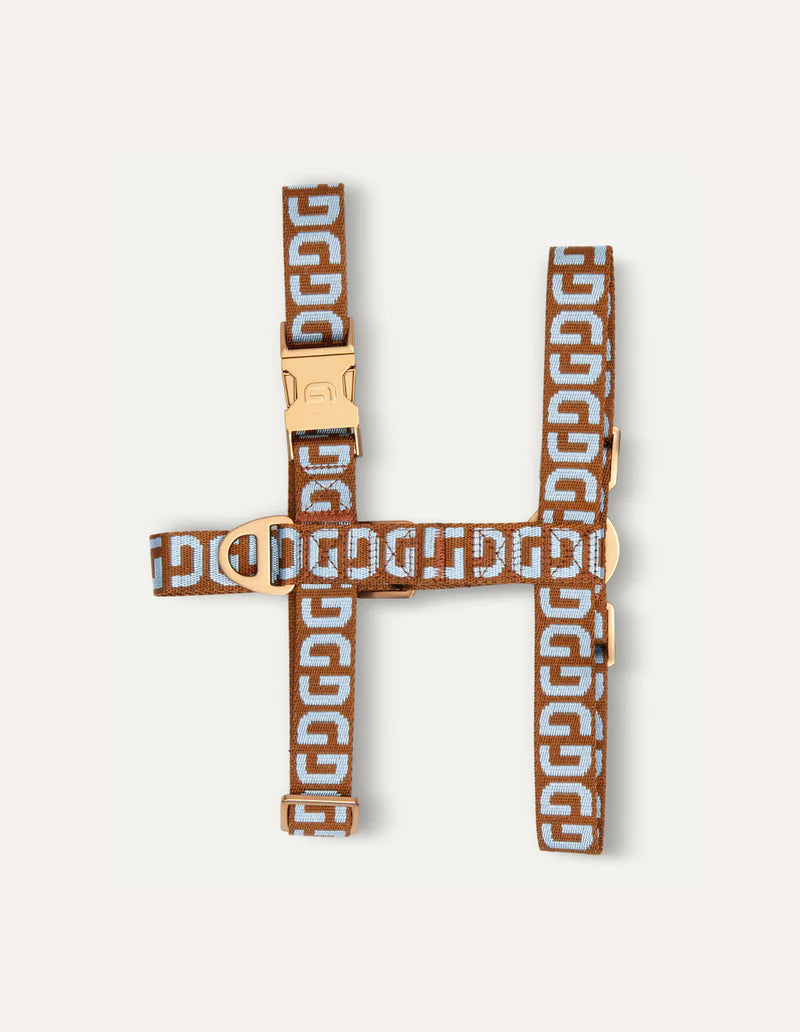 Collar and Harnesses