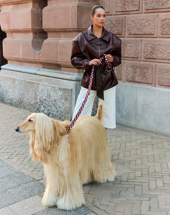 DOGGUO Hondenriem Stip Bordeaux/Perzik
