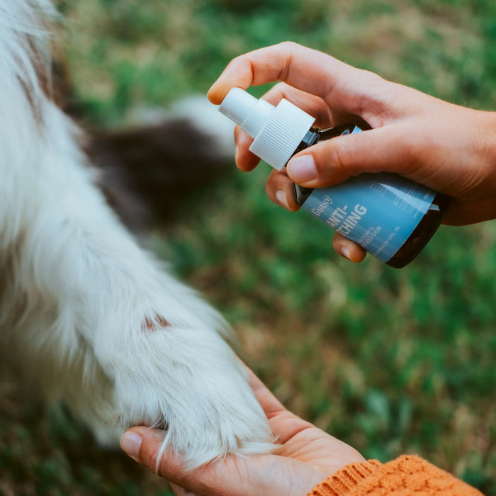 Gutsy’s Anti-Itch Spray -100 ml