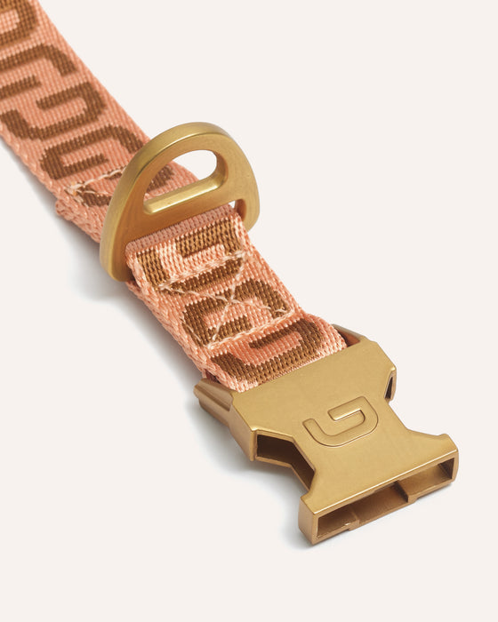 DOGGUO Halsband - DG - apricot/braun