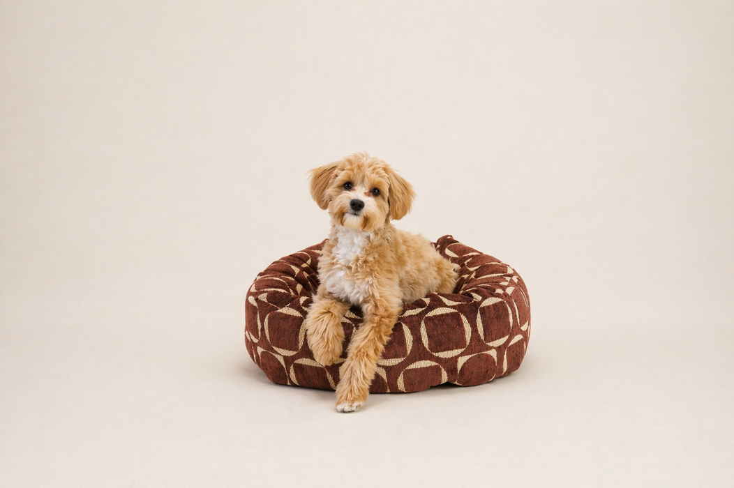Dogguo donut hondenmand retro print bruin geel