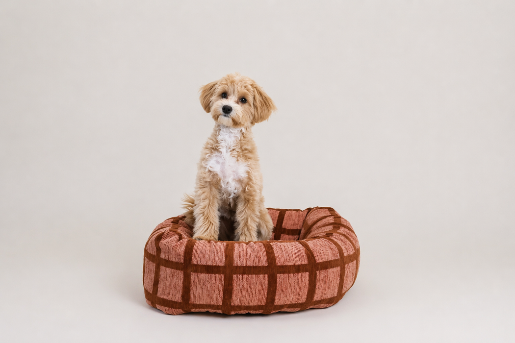 Dogguo donut hondenmand vierkant print mokka bruin