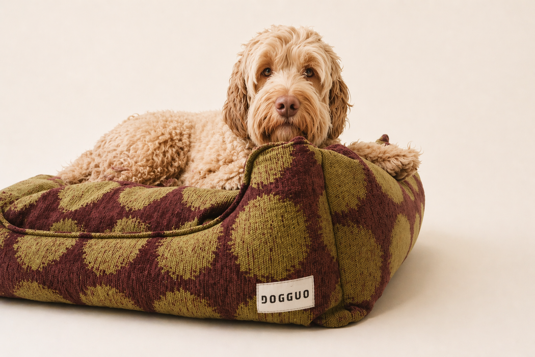 Dogguo hondenmand stip - bruin/groen