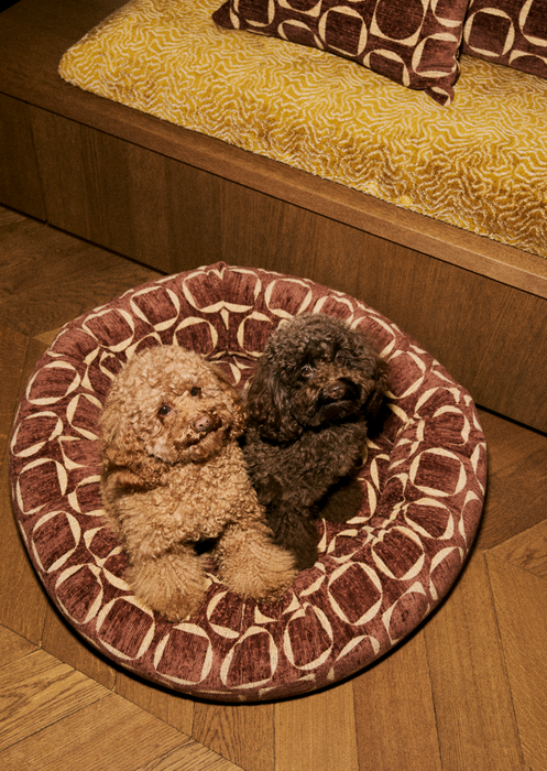 Dogguo donut hondenmand retro print bruin geel