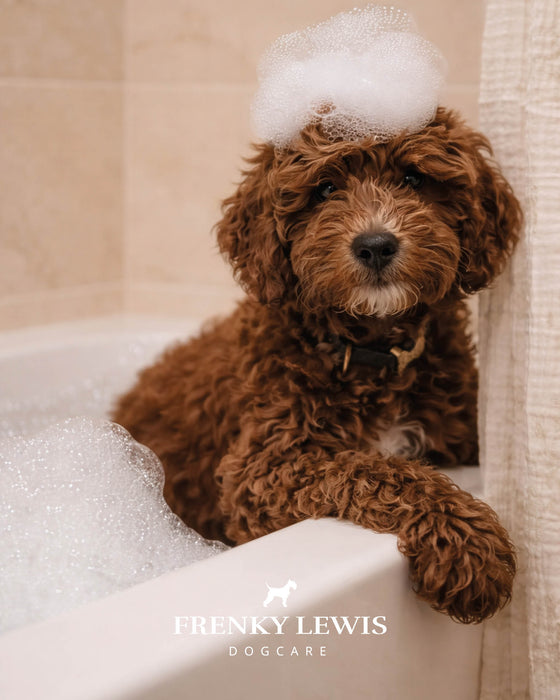 Frenky Lewis Luxury Gift Set - Green Tea & Bergamot
