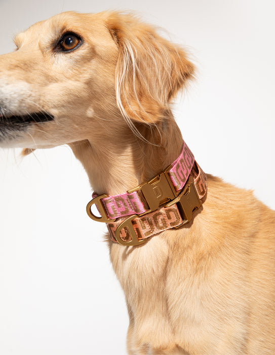 DOGGUO Halsband - DG-Print - Pink/Mokka