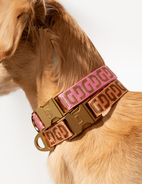 DOGGUO Halsband - DG - apricot/braun
