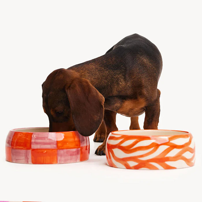 DOGGUO Hundefutternapf Zebra - Orange