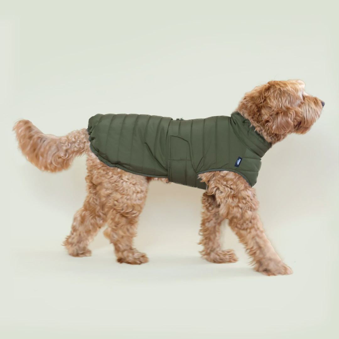 The best products for a wet walk