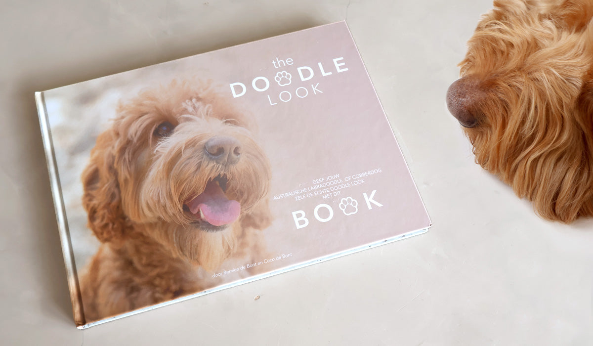 Das Doodle Look Book