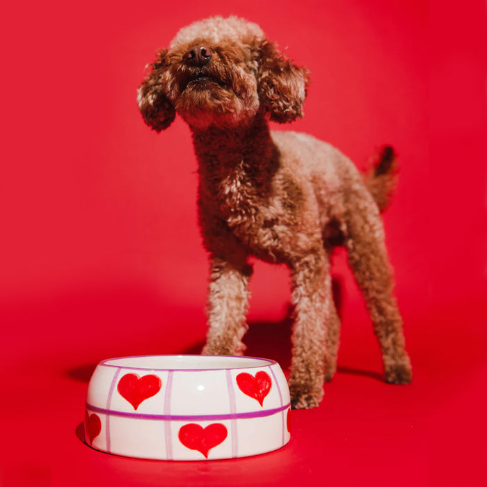 Dogguo honden voerbak hart - beige / paars / rood