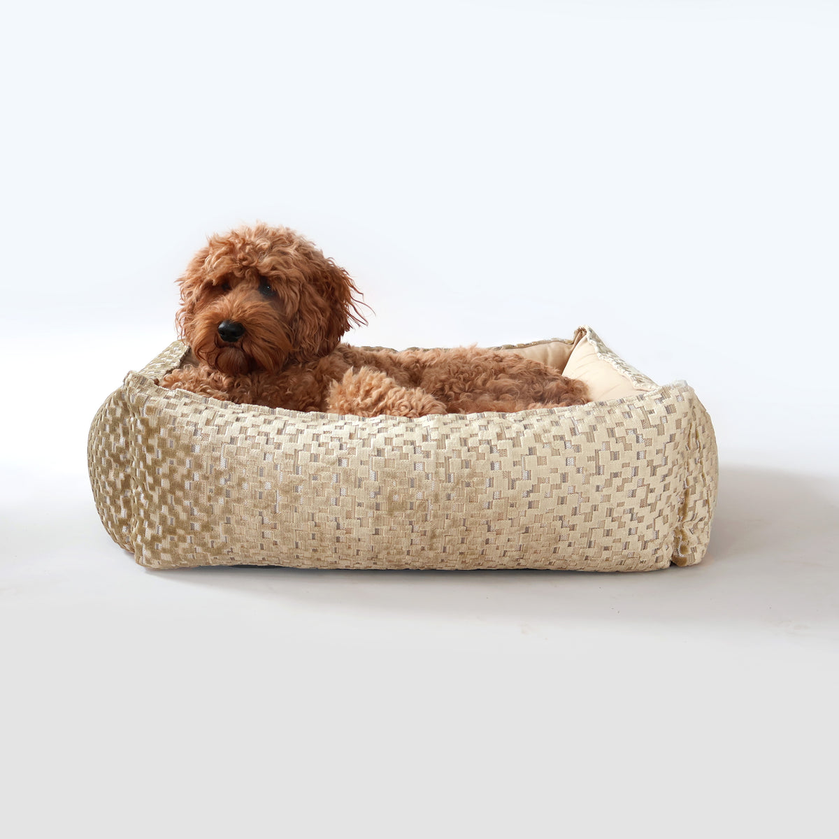 トイプー Hondenmand Jacquard beige Petlife Overseas — Doodle-essentials.nl