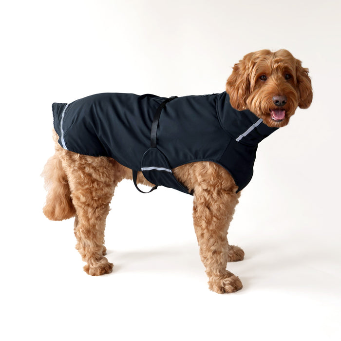 Rainy Superfurdogs