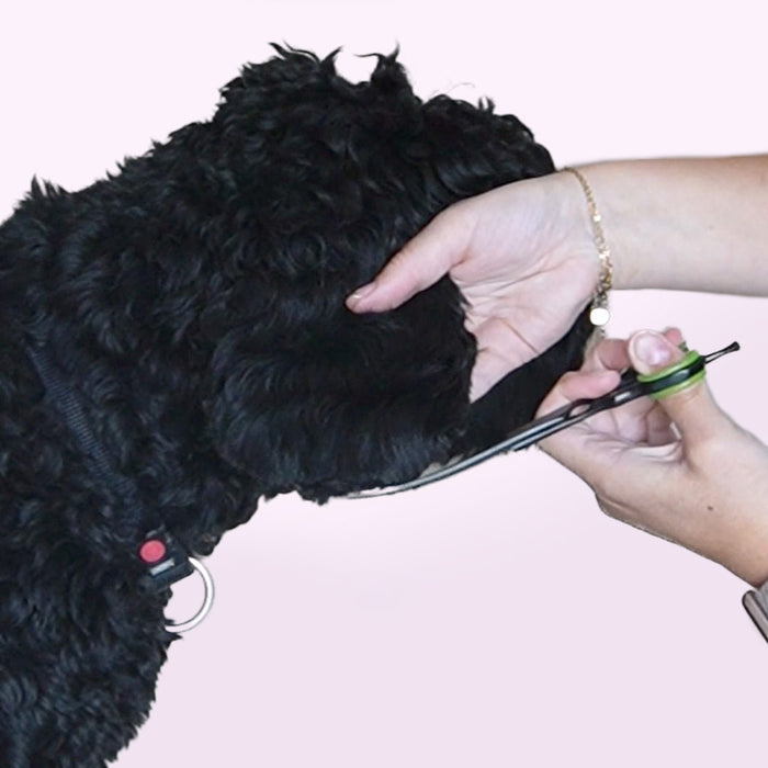 Furry Original curved shears