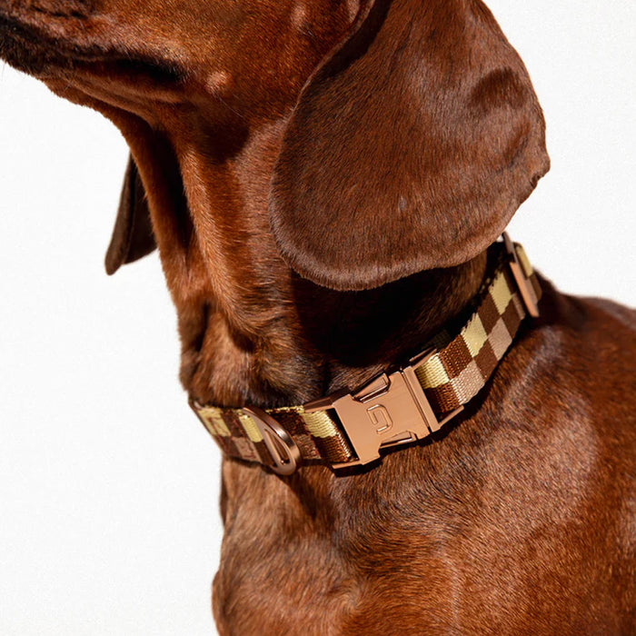 DOGGUO Halsband - blok print - bruin/geel
