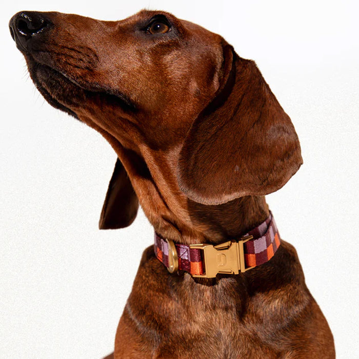 DOGGUO Collar - block print - burgundy/orange