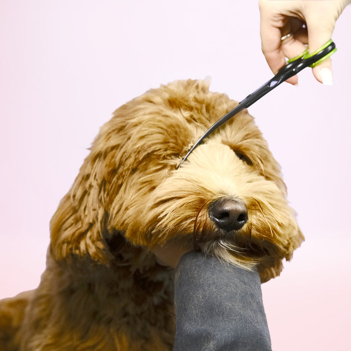 Eyes and Paws Scissors Furry Original