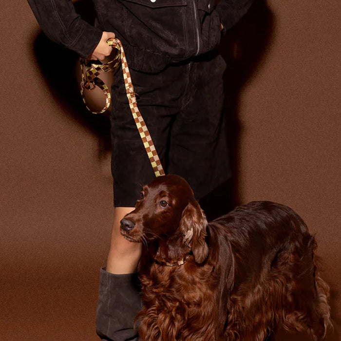 DOGGUO Hondenriem - blok print - bruin/geel