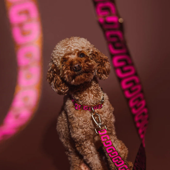 Dogguo DG halsband - bruin/roze