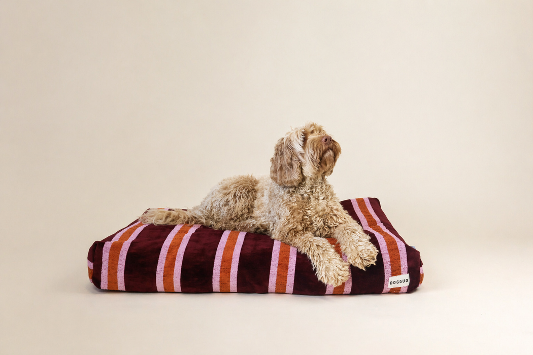 Dogguo hondenkussen - streep print - bordeaux/oranje/roze