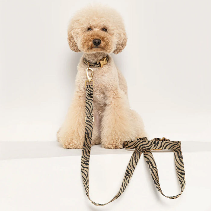 DOGGUO Halsband -zebra print - beige/zwart