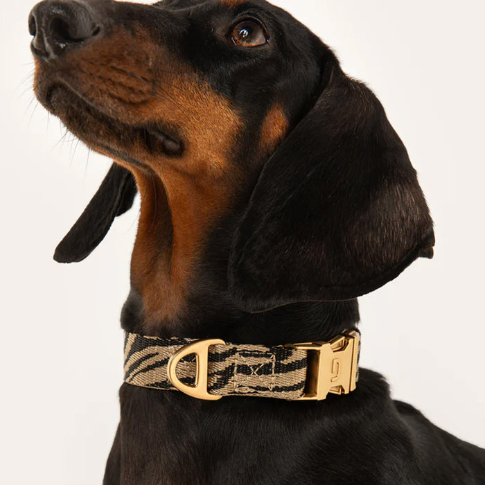 DOGGUO Halsband -zebra print - beige/zwart